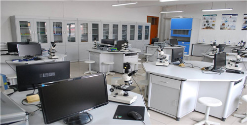 多媒體試驗(yàn)臺(tái)-03